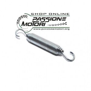 Molla Scarico Rok Gp e Junior