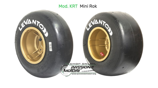 Set Pneumatici LeVanto Mini Rok