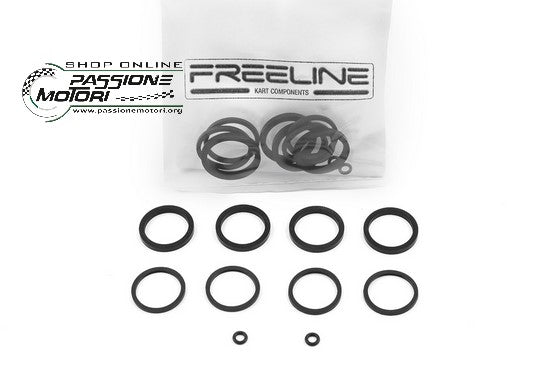 KIT REVISIONE RR-I25x4